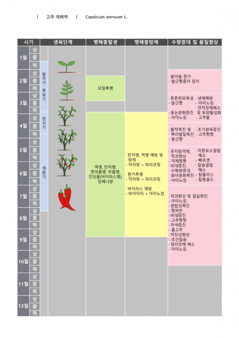 고추 재배력.jpg