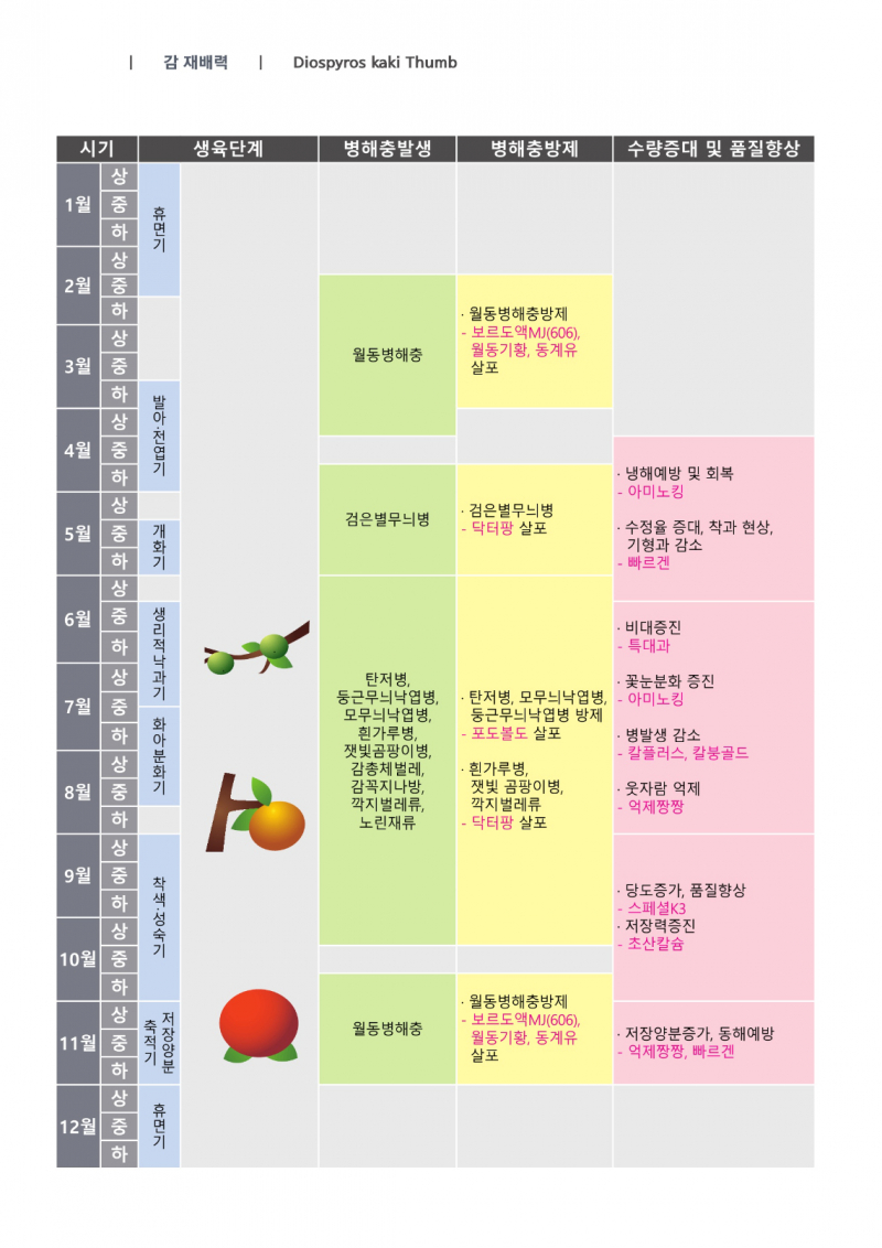 감 재배력.jpg