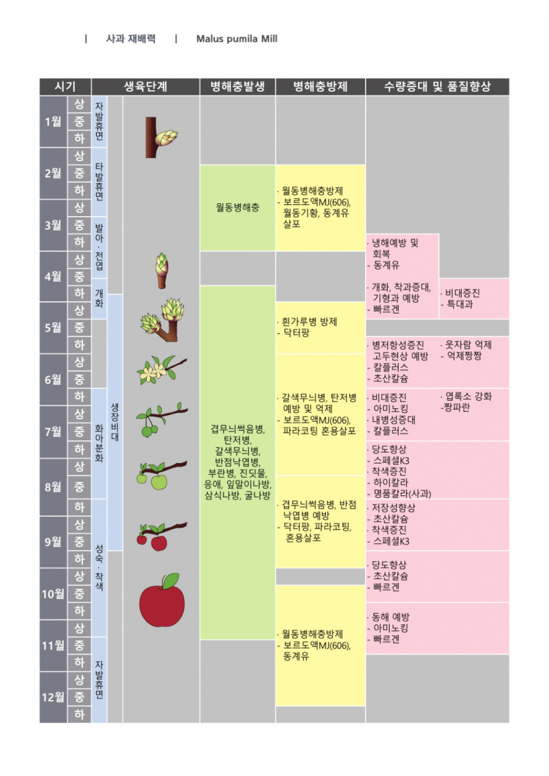 사과 재배력.jpg